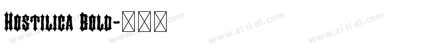 Hostilica Bold字体转换